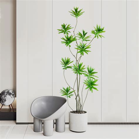 假植物|室內假植物：6大優點